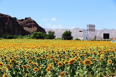 经典名作《巫术VD》更新1.8上线 倦怠魔女登场